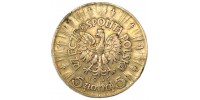 Polonia 28